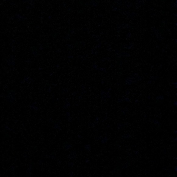 Meet your Posher, Layla - Picture 1 of 1